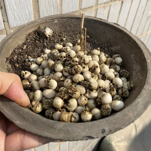 8 ve satış sürecinin lideri tank-no. 7