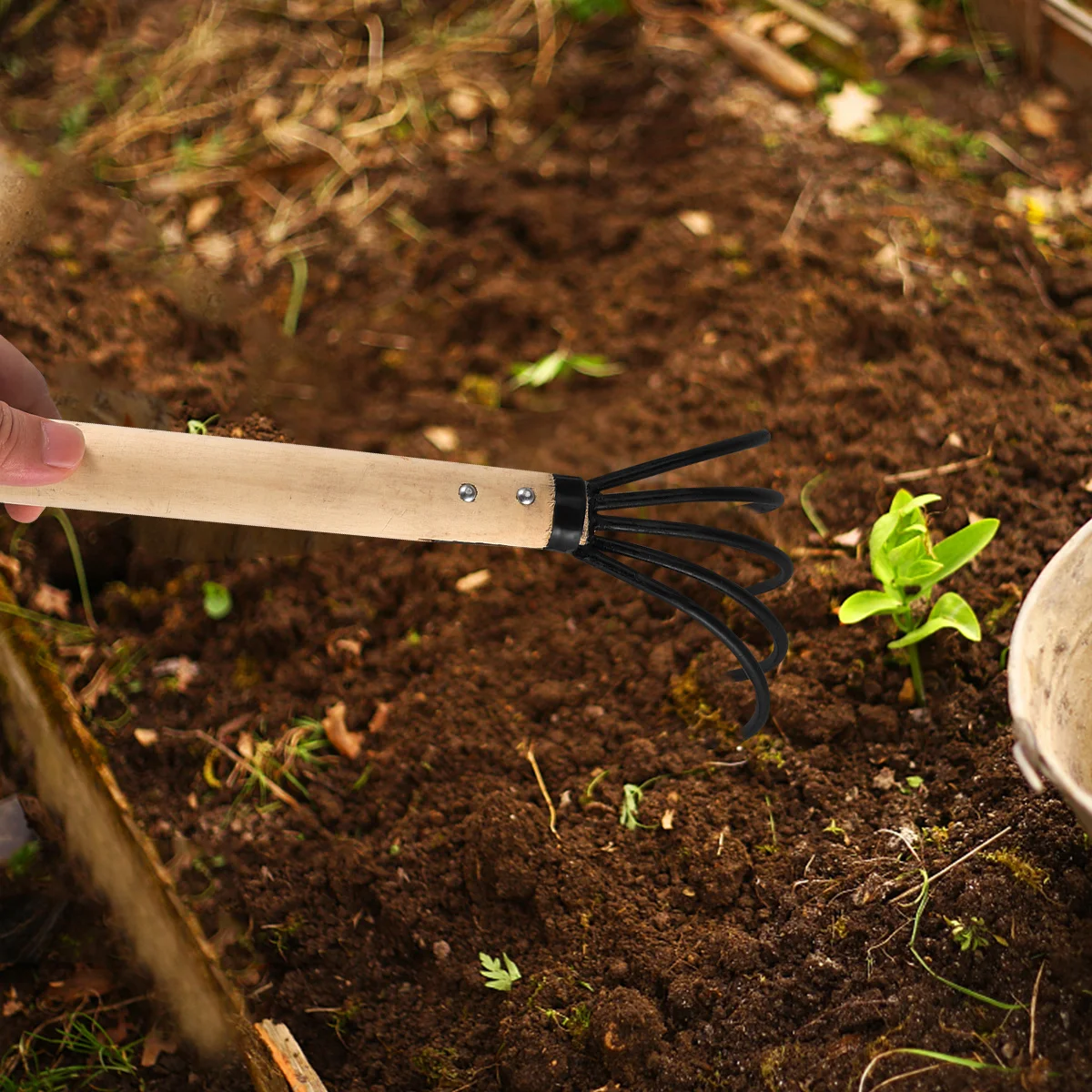 

1Pcs Sturdy Five-Teeth Garden Rake Rustproof Metal and Wood Construction Outdoor Yard Lawn Maintenance Tool Garden Rake