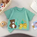IQ13-Leopard Bear