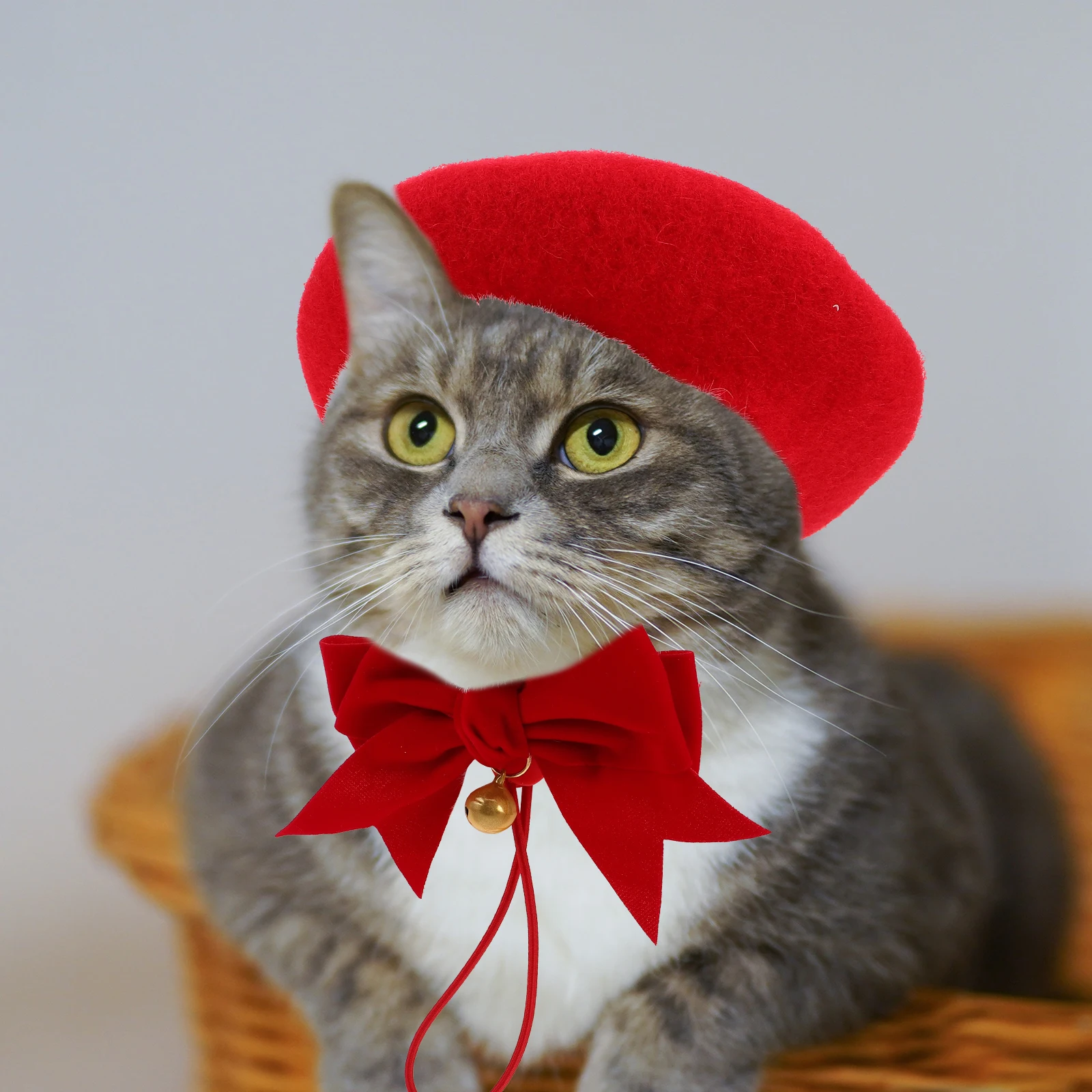 

Pet Decoration Set Cat Headdress Cartoon Dog Cap Beret for Dogs Hat Collar with Bow Tie