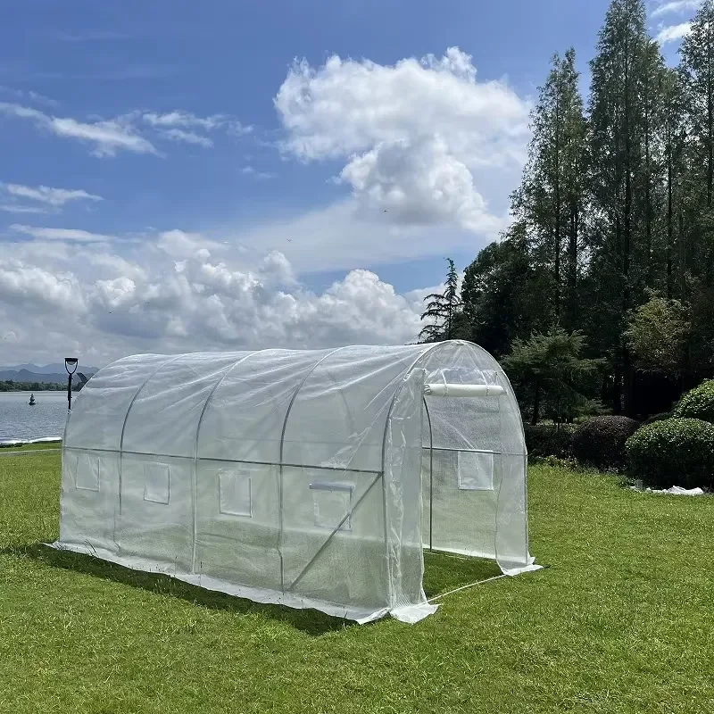 Seed Green House Poly Tunnel Garden Dome Greenhouse for Tomatoes Agricultural