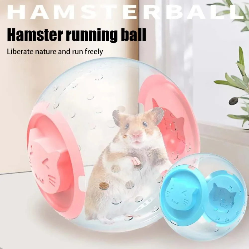 #19 Latest Hamster Exercise Wheels Offers
