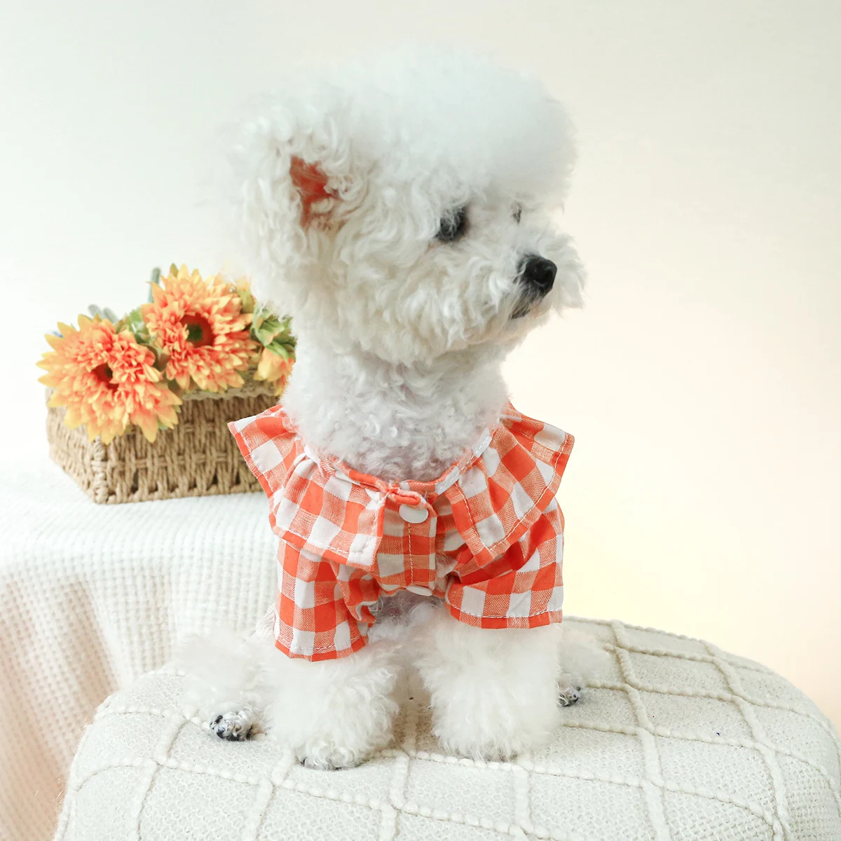 1PC Pet Clothes Cat Spring and Autumn Lotus Leaf Orange White Strap Pants Four legged Suitable for Small and Medium Dogs