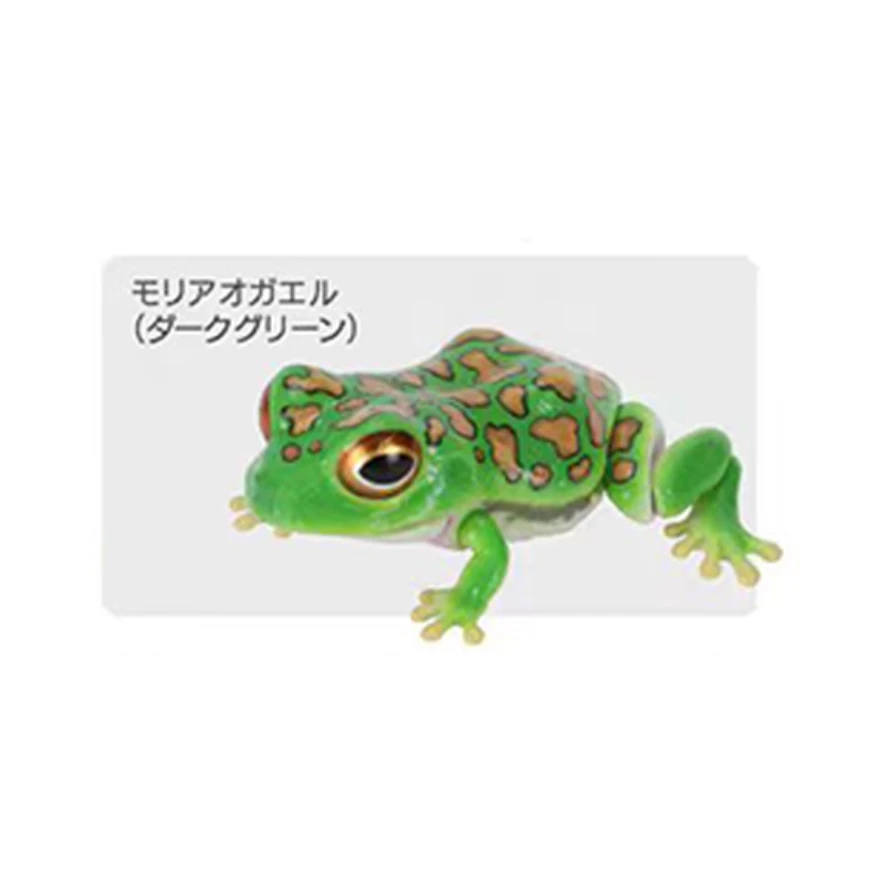 재고 있음 - 반다이 생물학 백과사전: 두꺼비와 개구리 가샤폰 - 사실적인 동물 피규어 세트