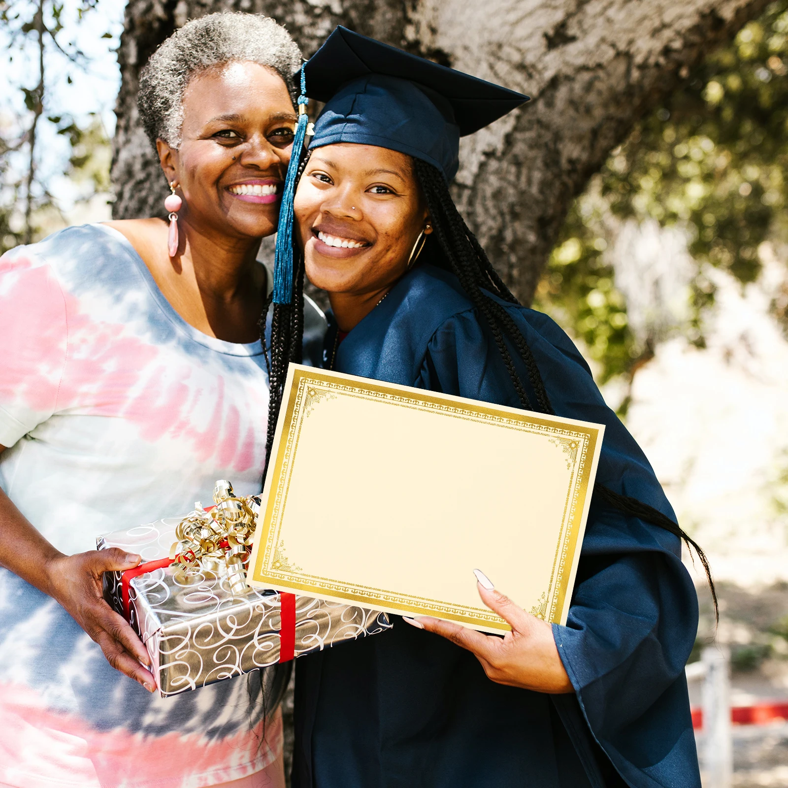 10 Sheets Certificate Inner Page Certificates Letter of Appointment Participation Paper Printing Diploma