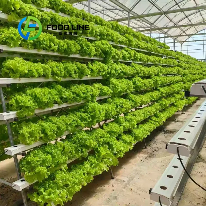 For EBB 20Ft Solar Powered Hydroponic Container Farm System PLC Controlled Aquaponic/Drip/Aeroponic Irrigation Shipping