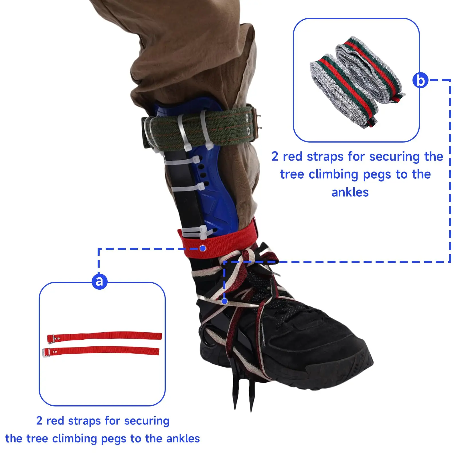 مجموعة سبايك لتسلق الأشجار - معدات تسلق شجرة قابلة للتعديل مع أداة سبايك