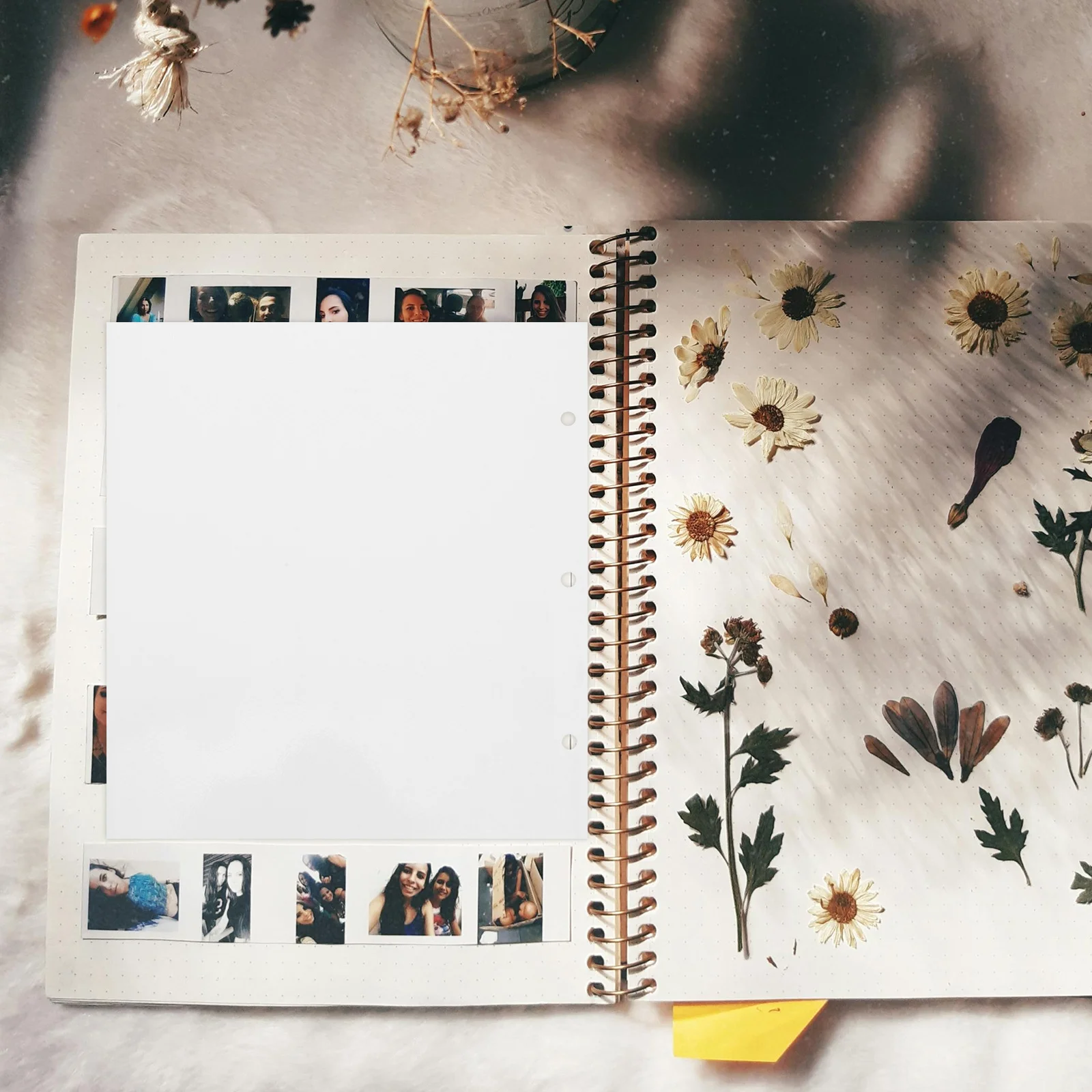 

10Pcs Self Adhesive Photo Album Pages Refill Three Hole Binder Sheets Scrapbook Card Collection Storage Protective Photo Sleeves