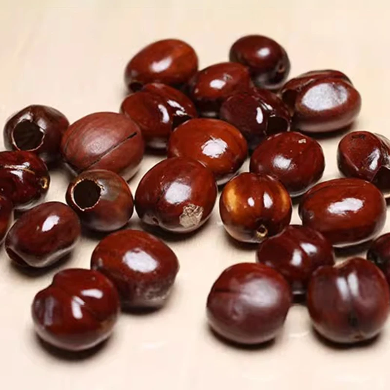 DIY フルーツシェル風鈴手作りサウンドバンドル屋外瞑想風鈴サウンドヒーリングベル材料アクセサリー