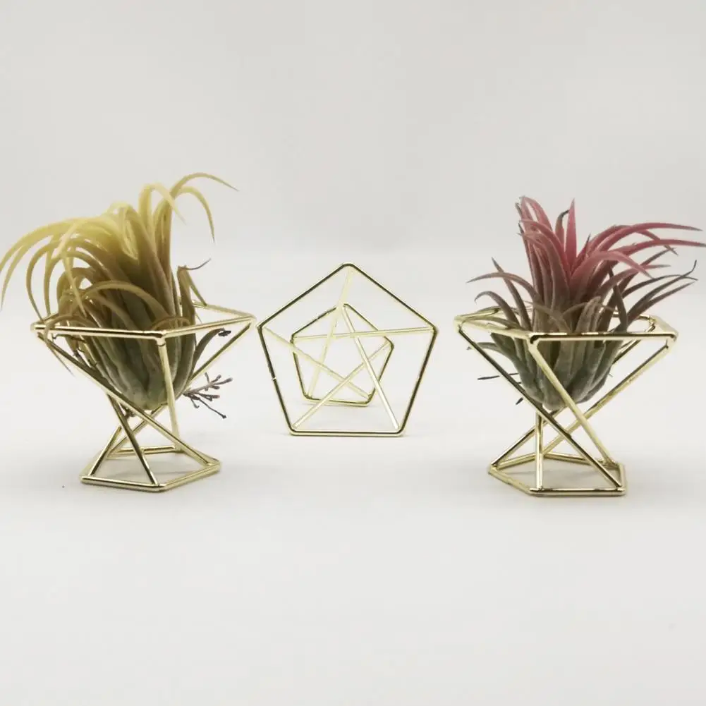 3Pcs Air Plant Stand Holder  Useful Exquisite Workmanship Tillandsia Display Stand  Hydroponic Fern Plant Stand