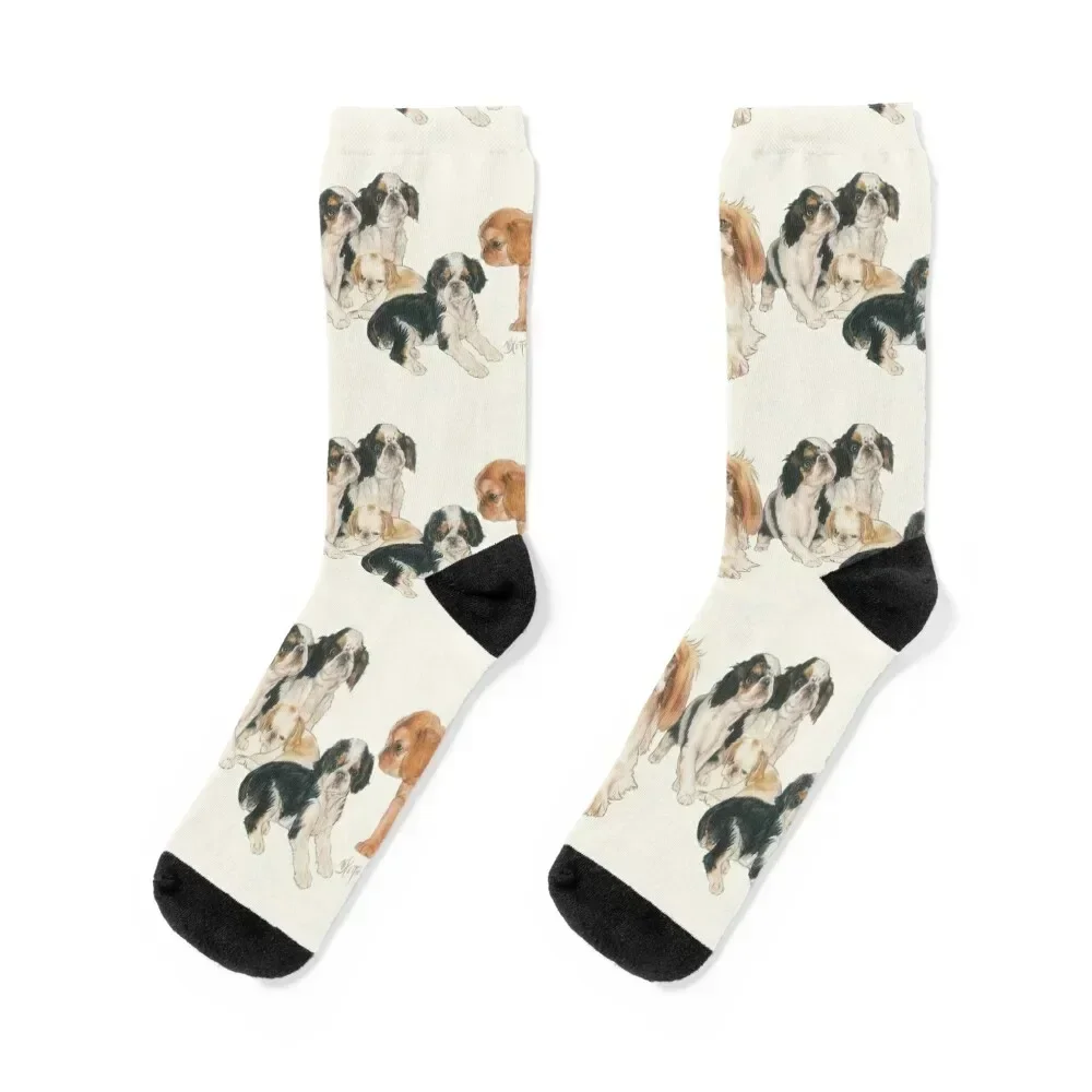 

English Toy Spaniel Puppies Socks Antiskid soccer Stockings compression Socks For Man Women's