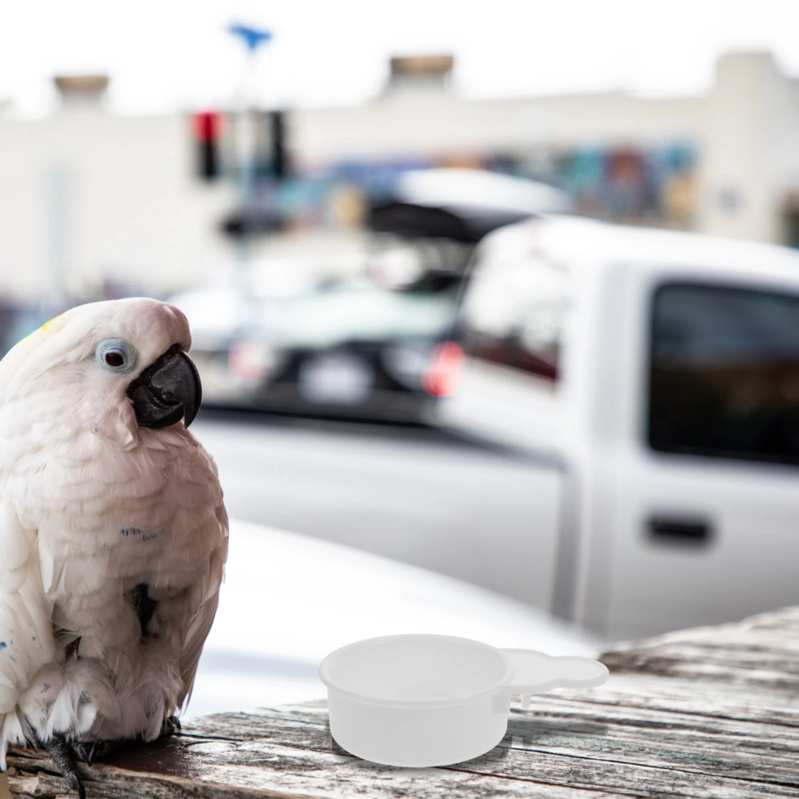 

2Pcs Bird Feeder Cup Cage Feeding Bowl Small Birds Parakeet Budgie Cockatiel Plastic Durable Easy Clean Bird Feeder for Cage