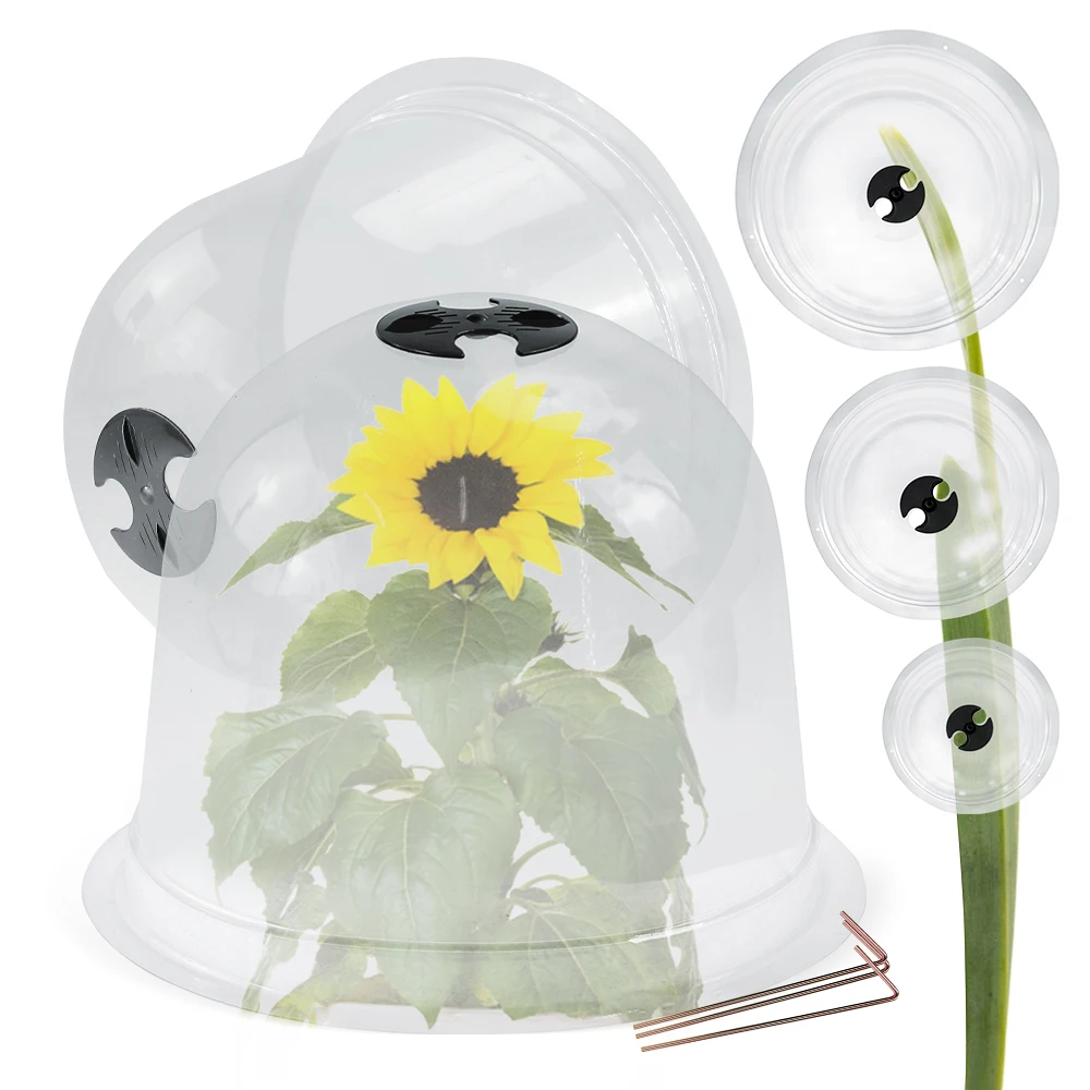 Dome Freeze Protection Succulants Flower Pot Cover Cloche Greenhouse Humidity Mini Vegetable Seeds Cloches Insect Shielding hood