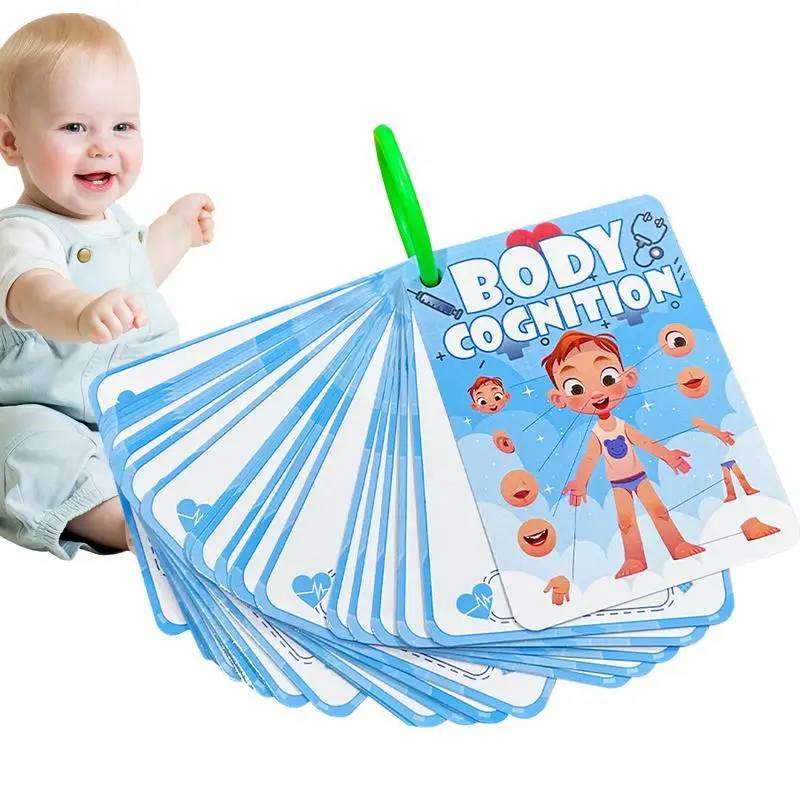 

Body Awareness Cards For Kids 36X Body Parts Teaching Materials Fun Cognitive Education Card Kids Reading Cards 3 Years Old