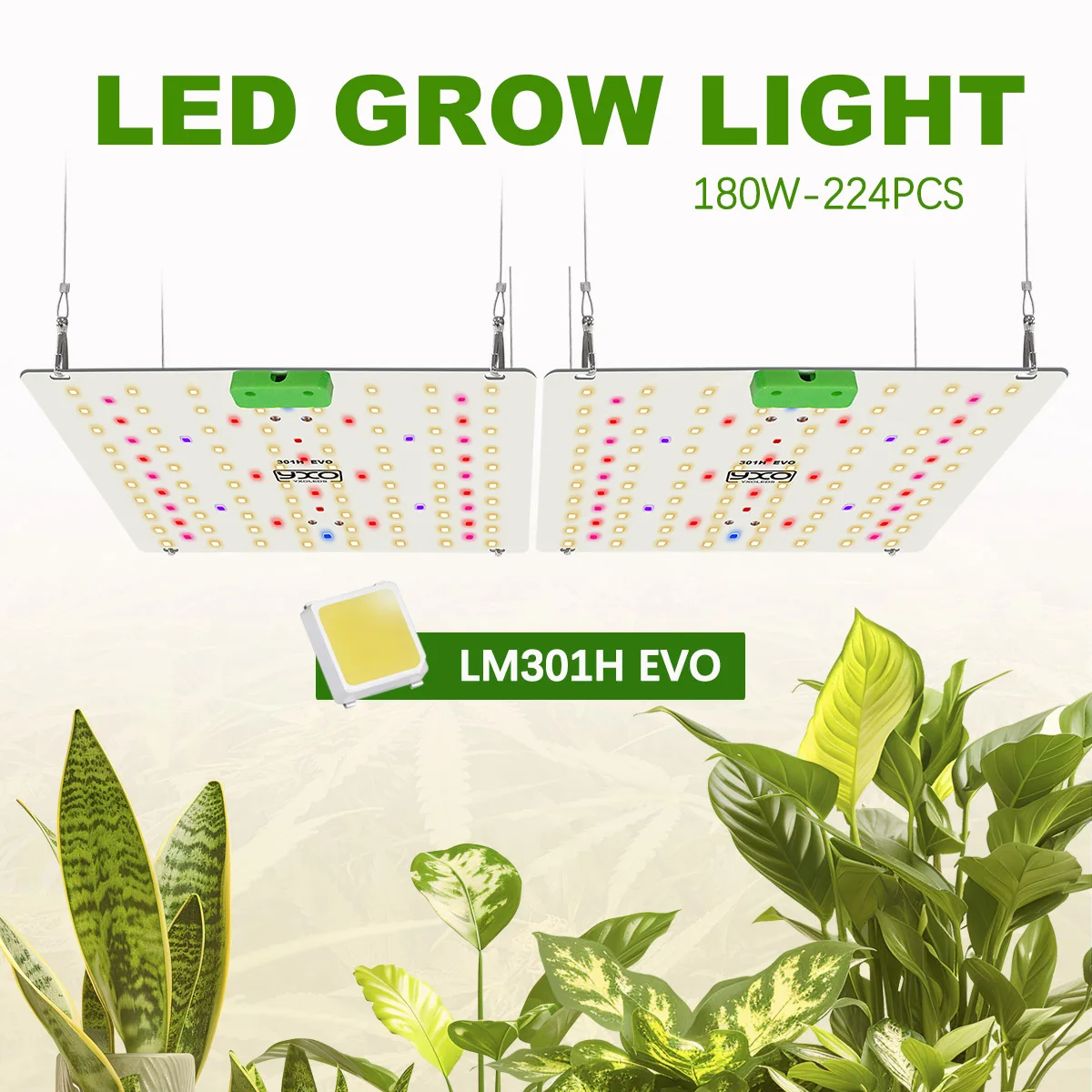 Lampe de croissance LED LM301H EVO 85W 180W infrarouge pour horticulture hydroponique, éclairage de croissance des plantes d'intérieur pour jardin domestique