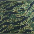 Green Blue