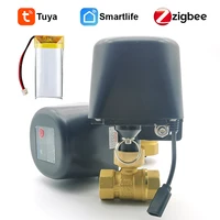 Temporizador Tuya Zigbee con batería recargable, controlador de riego automático, válvula de agua para jardín, Wifi, Control remoto, necesita Hub