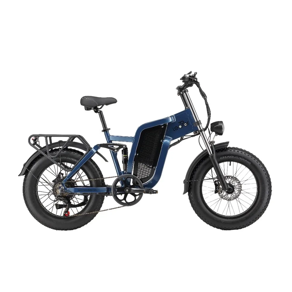 

20 Inch Fat Tire 500W 1000W 2000W Full Suspension Mountain City Dirt Adults OEM EBike USA Warehouse Free Shipping Electric Bike