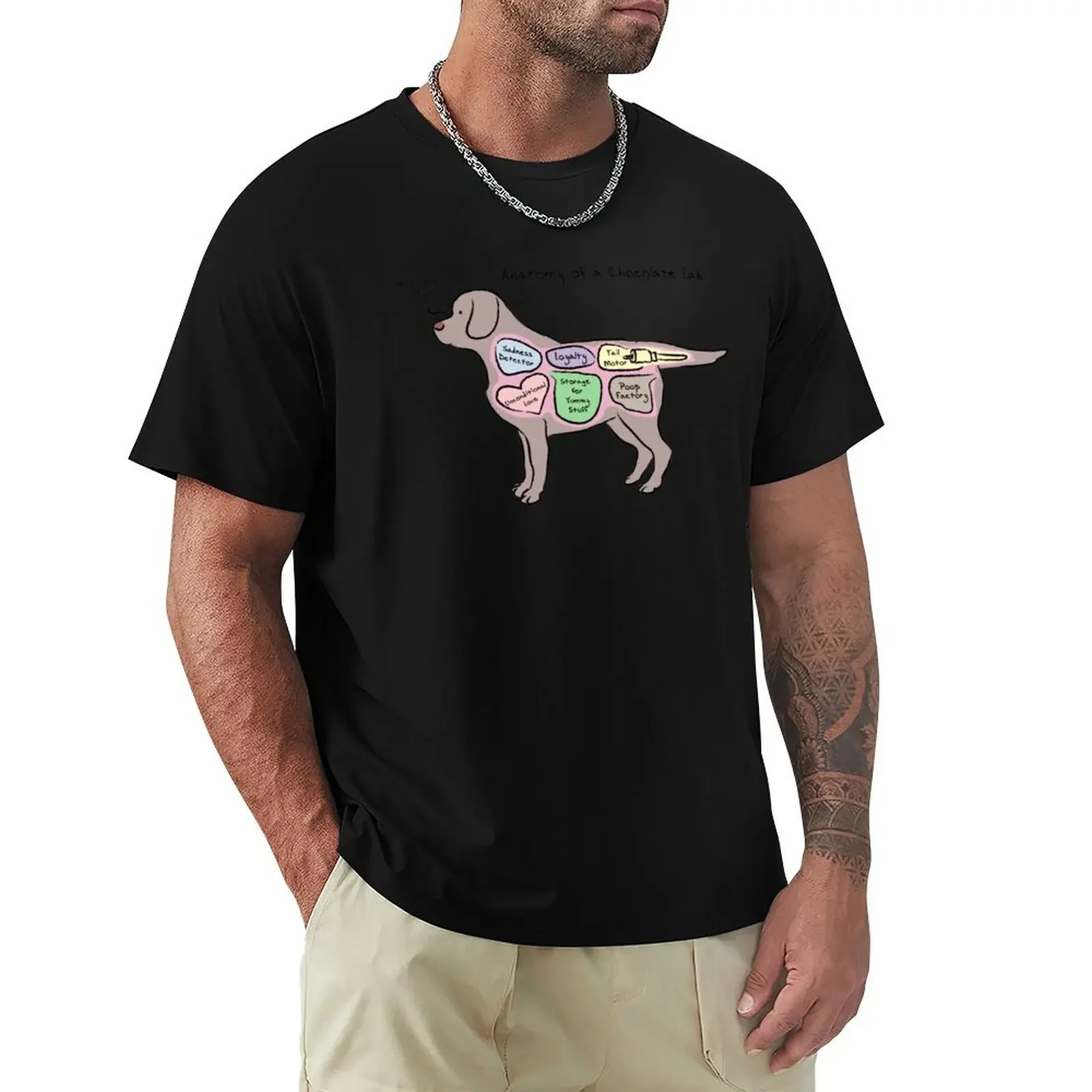 Anatomy of a Chocolate Lab T-Shirt cute tops sweat men t shirts high quality