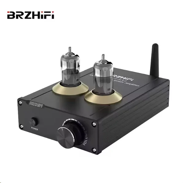 Weiliang TPA-6A2 المبتدئين مُضخّم صوت صغير الحجم HiFi BT 5.0 فراغ أنبوب مضخم رقمي