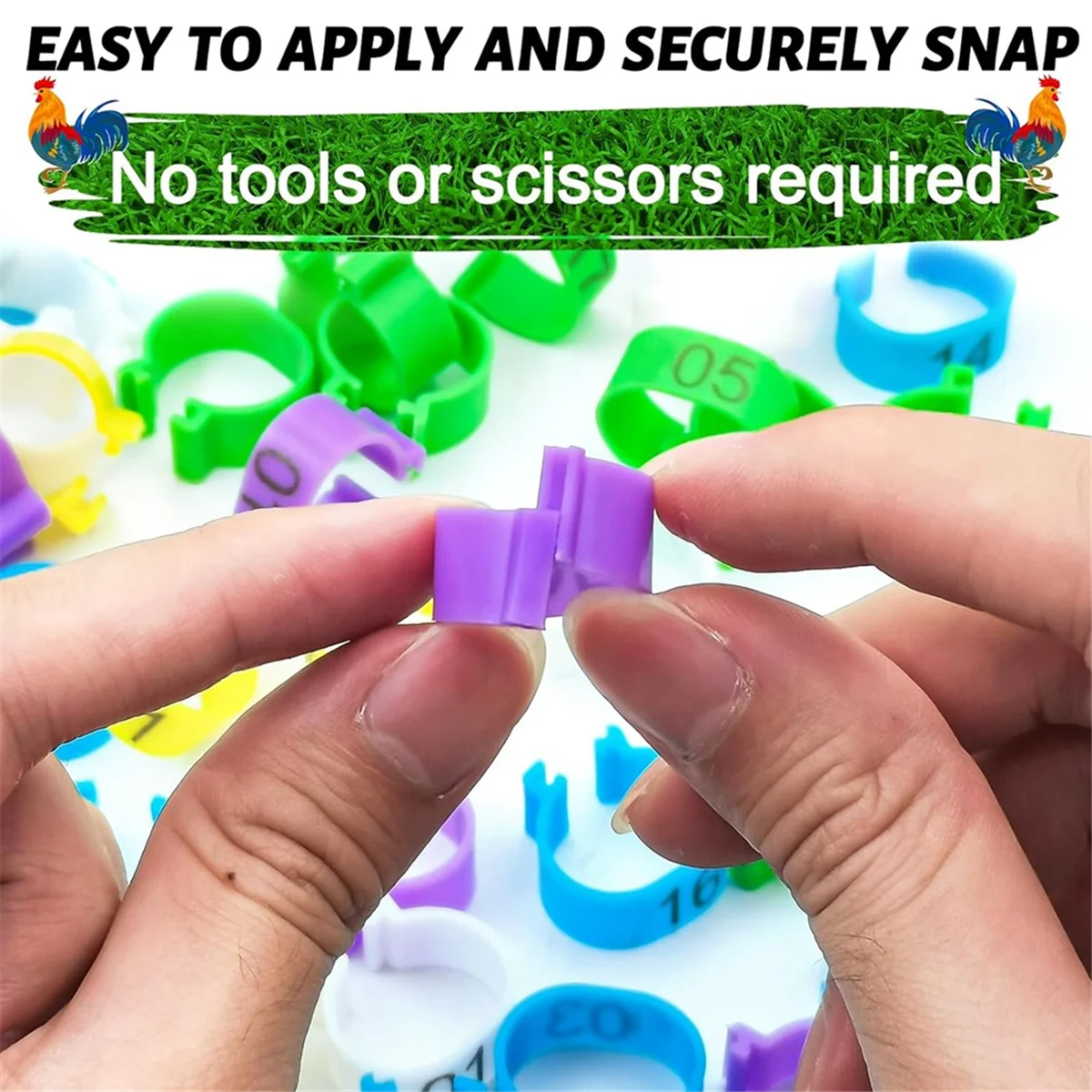 Neue 80 Stück 16 mm Hühnerbeinbänder mit 8 Farben, buntes 01-80 nummeriertes Huhn, Identifikationsbeinbänder, Enten-Geflügel-Beinschild