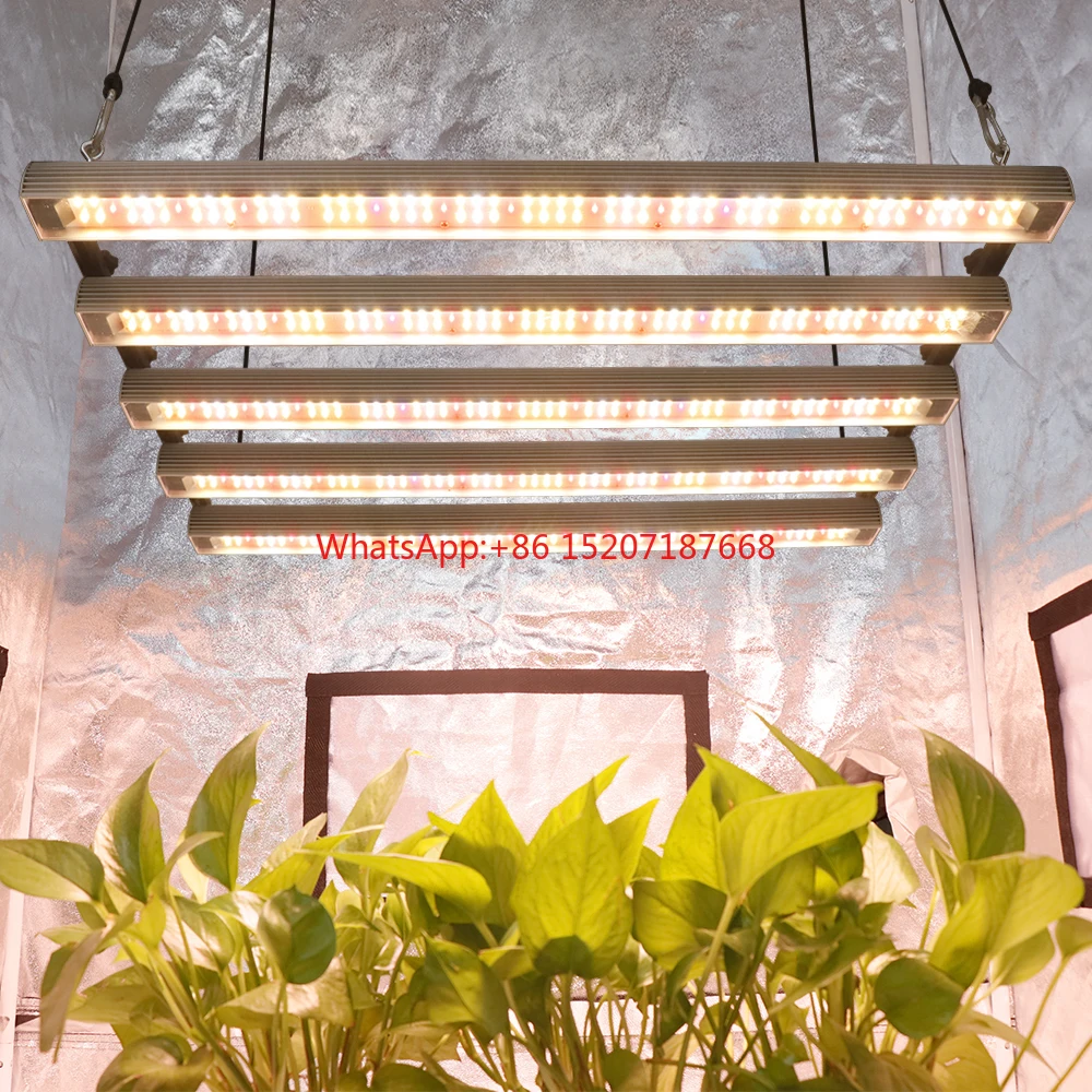 Hydroponics Samsung Lm301H EVO Quantum LED Grow Light Tube bar Full Spectrum LED Phyto Lamp per la crescita delle piante della tenda del fiore dell'interno