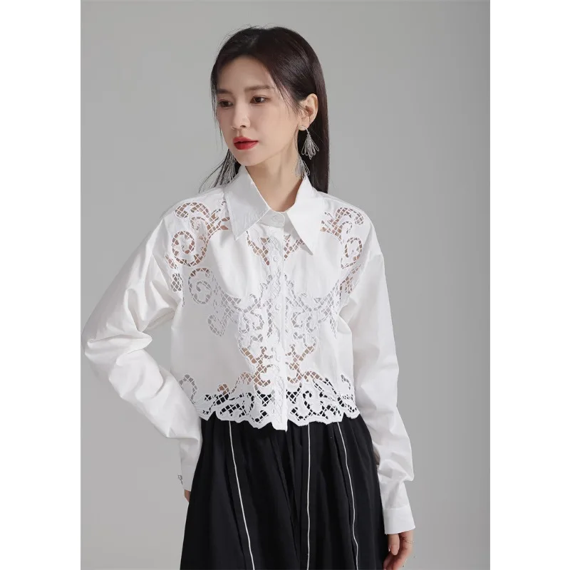 WAKUTA Spring/Summer Design Feeling Hollow Hook Flower Flip Collar Long Sleeved Shirt Minority Cardigan Short and Unique Top