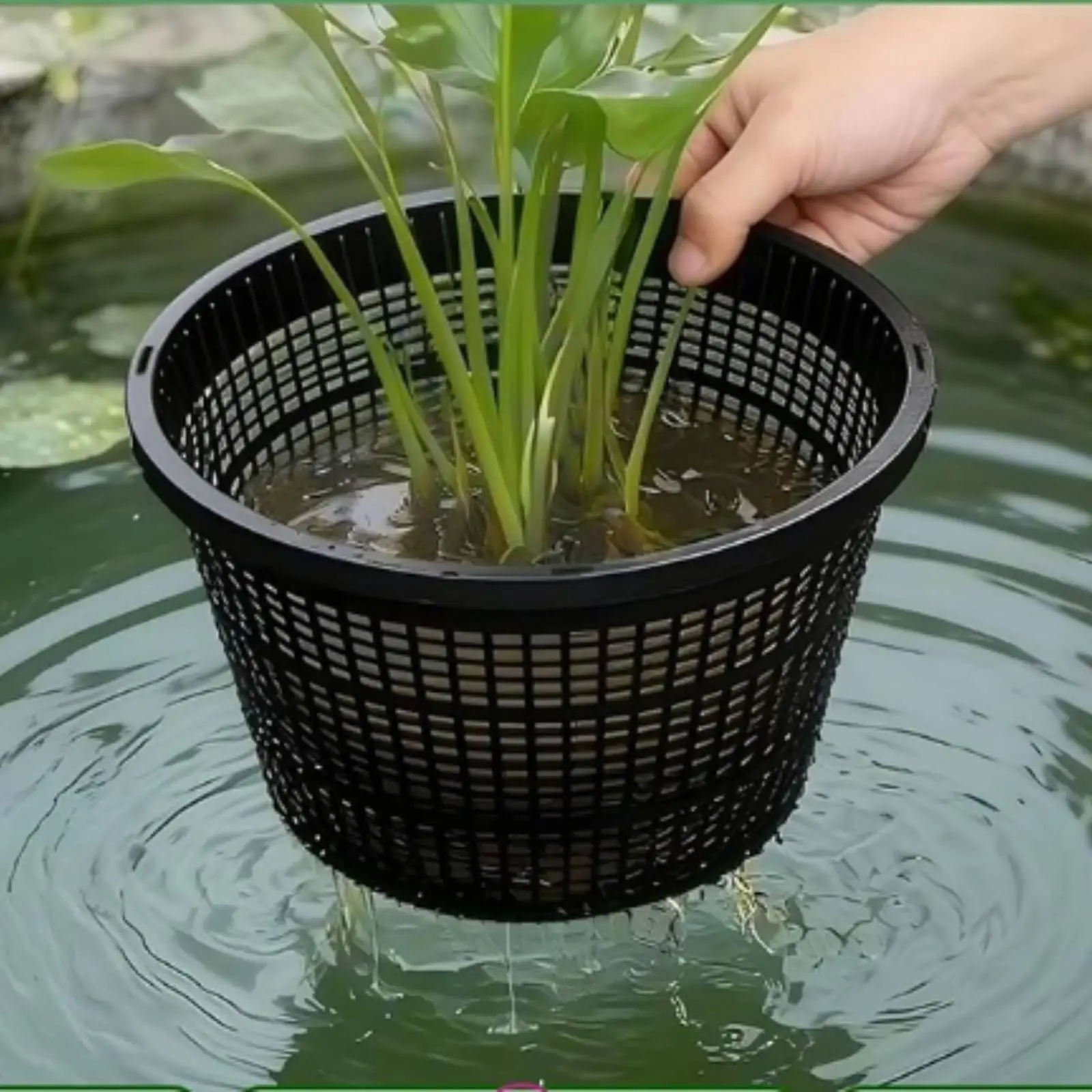 Hydroponic Planter Wide Rim Me - огляд і ціна Plant Pot