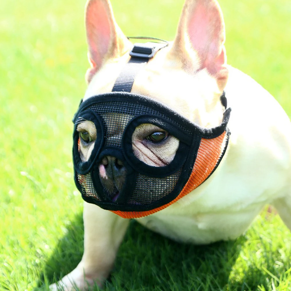 Bulldog Muzzle French Dou Ying Dou Pet Dog Muzzle Short Mouth Dog Anti-bite Anti-eating Mask