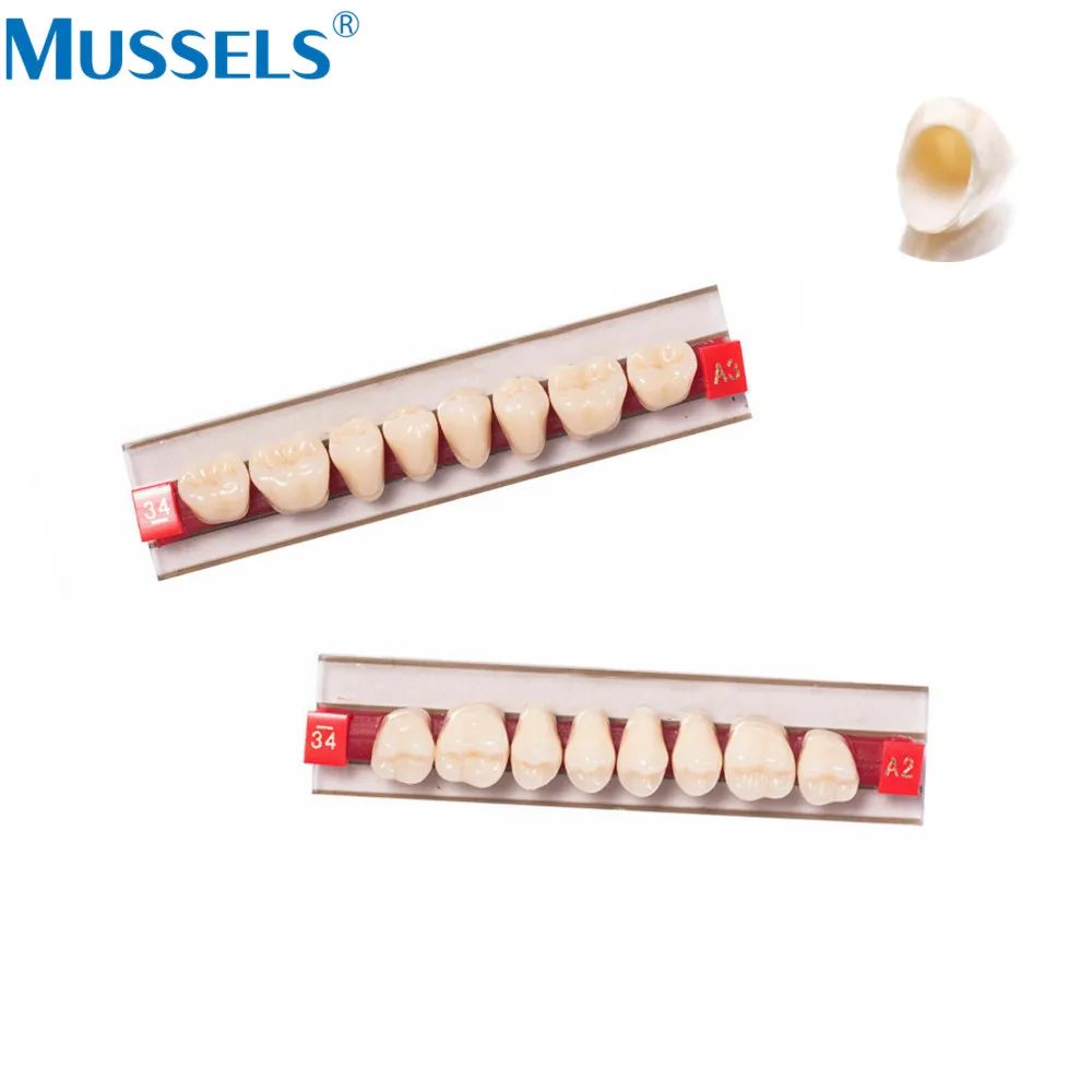 84/96 Buah Gigi Resin Sintetis Akrilik Gigi Komposit Palsu Palsu Gigi Tiruan Mulut Penuh Posterior Atas Bawah Anterior S/M/L