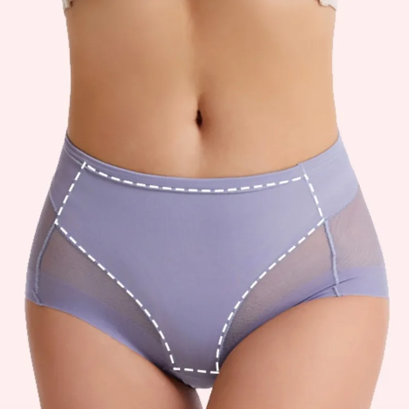 Mesh Panel Shaping Briefs Image 2