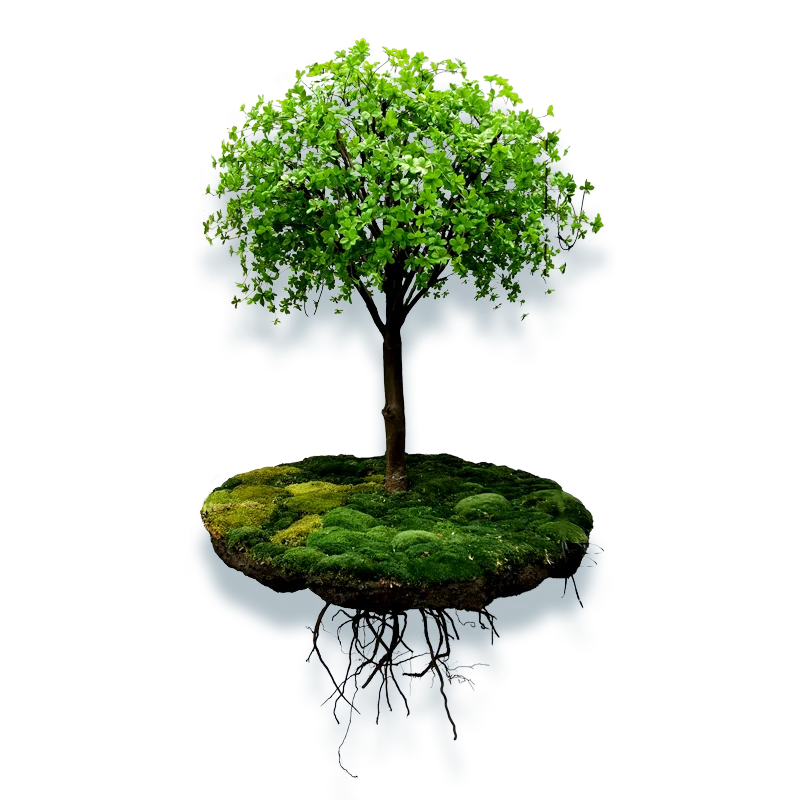 

Simulation plant decoration hanging suspension pendant hotel sales office window hanging green plant fake tree