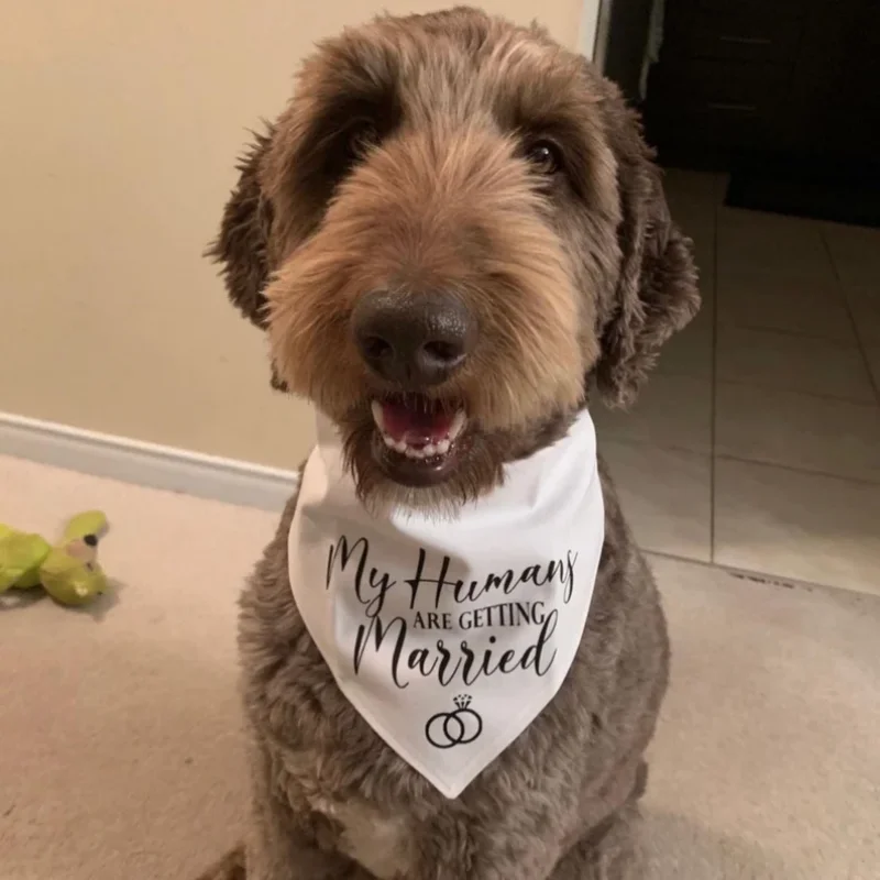 Personalisiertes Bandana mit der Aufschrift „Meine Liebsten heiraten“ – Perfekt als Foto-Requisite, Hochzeits- oder Verlobungsdekoration und Geschenk. – Detail 2