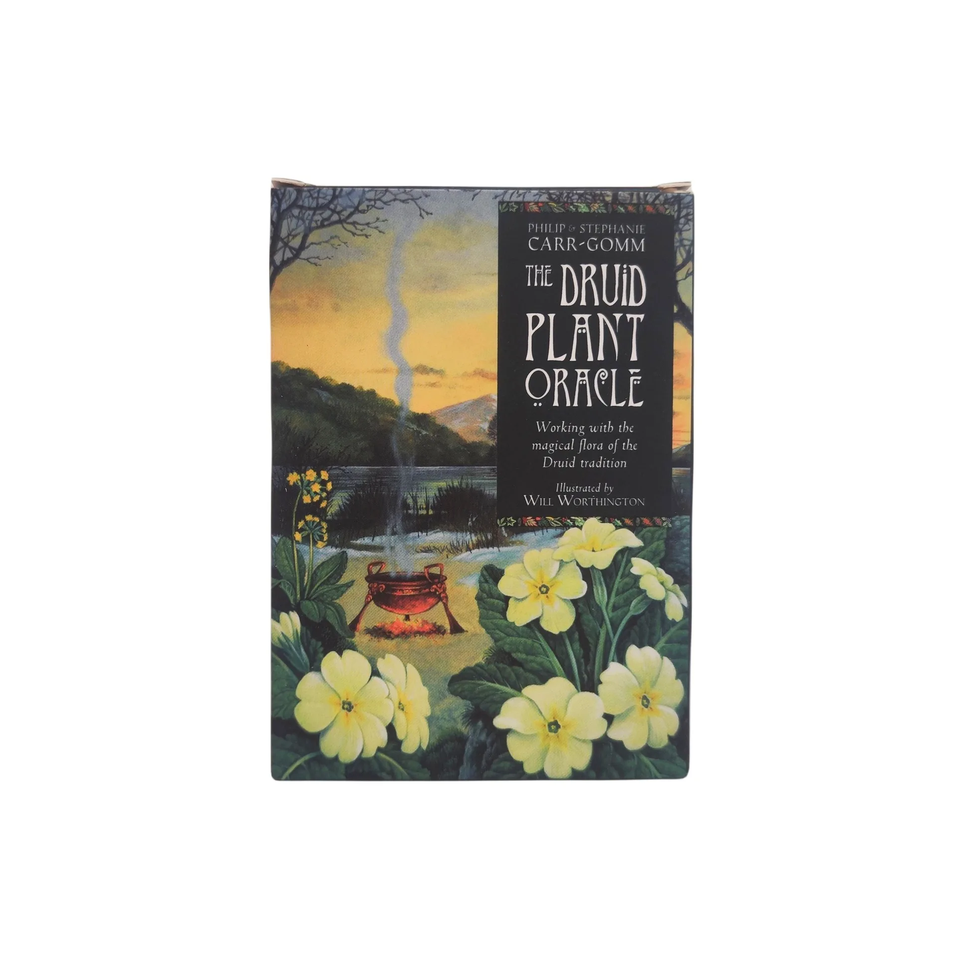 The Druid Plant Oracle Cards 36 Sheet English Version Divination Board Game Tarot Cards for Plant Enthusiasts