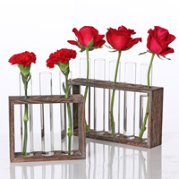 Hydroponic Green Plant Test Tube Vase Hydroponic Flower Arrangement Plant Container Wooden Frame Decoration Glass Vase