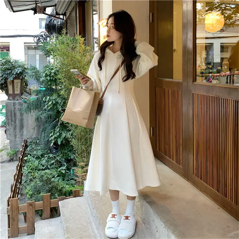 Hooded Dresses Women Solid Tunic Thick Winter Ins Harajuku Inside Long Sleeve Minimalist Holiday Vestidos Soft Fashion Aesthetic