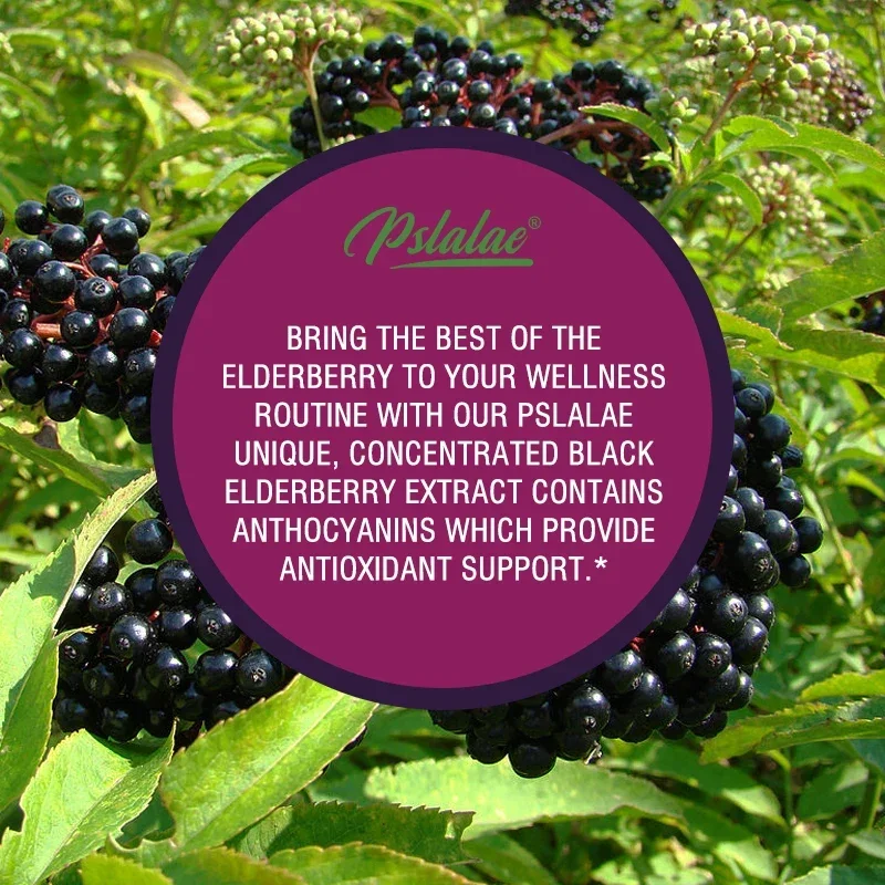 Elderberry - Dietary Supplement That Supports A Healthy Immune System, Antioxidant Levels and Promotes Nutrient Absorption