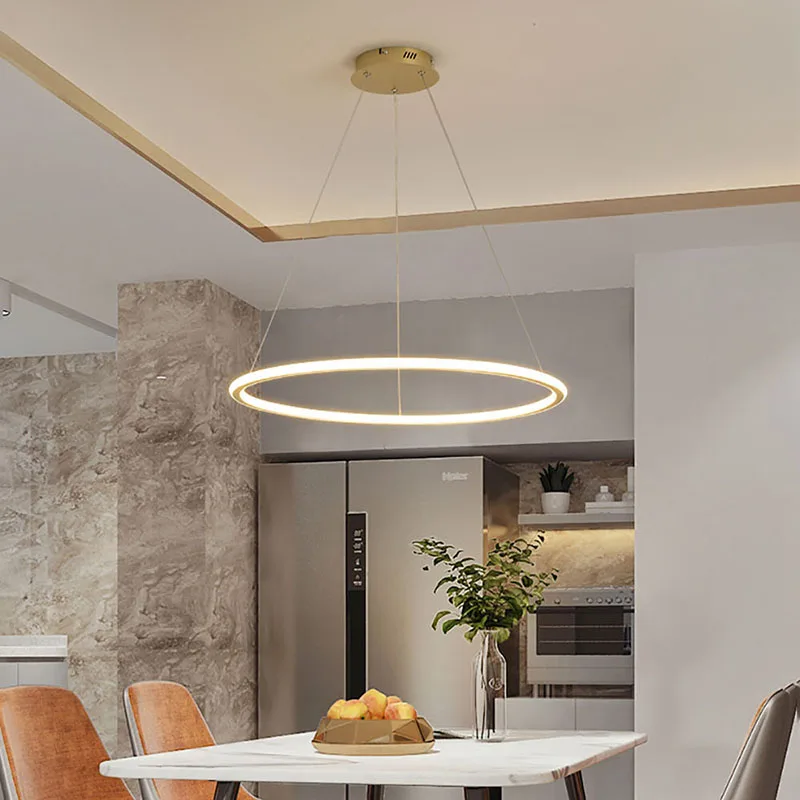 Modern LED Pendant Light For Living Room Dining Room Bedroom kitchen Hanging Ring Lamps Indoor Home Decoration Lighting Fixture