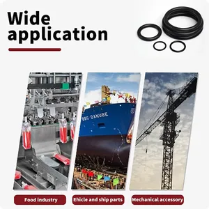 طقم تشكيلة O Rings ، طقم تشكيلة لصنبور السباكة ، السيارات ، الهواء أو الغاز ، 18 مقاس ، متري ، NBR ، طوقا ، طوقا ، 255 قطعة أعلى 10 مبيعات لزيت الماريجوانا - رقم 1