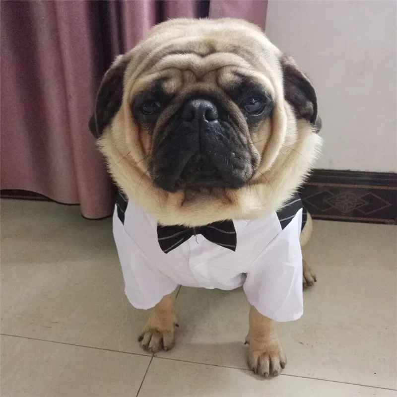 Pug French Bulldog Clothes Male Dog Suit Wedding Clothing for Dog Tuxedo Pet Clothes Party Dog Costume Coat Outfit Dropshipping