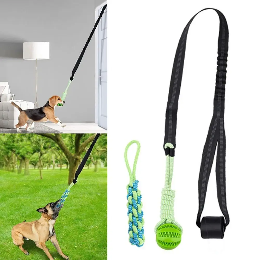 Interactive Dog Ball Toy with Rope Tether Tug of War Puppy Training Bite Resistant Chew Toys Solo Play Spring Pole Dog Rope Toys