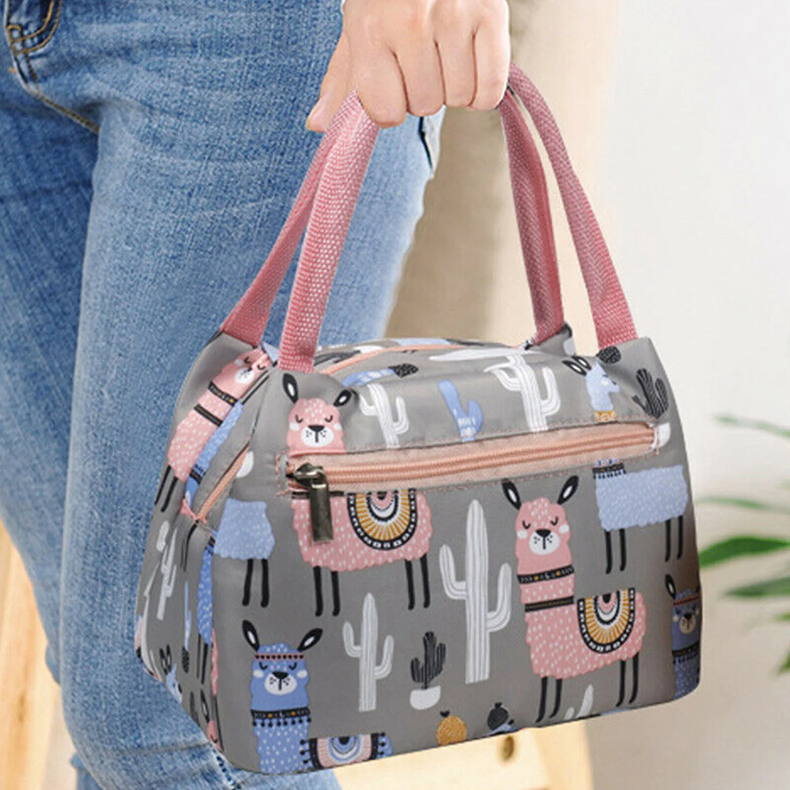 Cartoon Printed Lunch Bags Handheld Insulated Thermal Bags n Women School Work