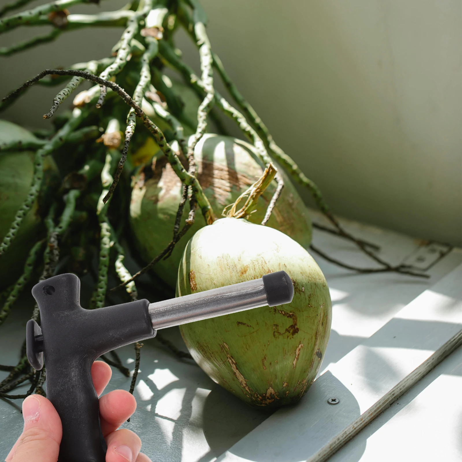 

2Pcs Coconut Portable Coconuts Opener Steel Efficient Puncher Kitchen Coconuts Puncher Tool Supplies