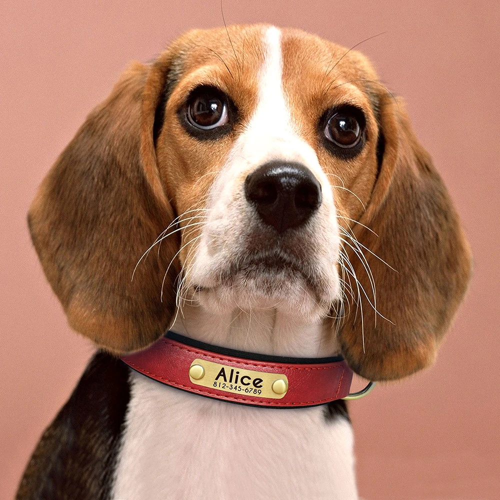 Personalisiertes Hundehalsband, Leine, PU-Leder, Hundehalsbänder, Haustierseil, gravierte Haustier-ID-Namenskette für kleine große Hunde, weich gepolstert – Detail 23