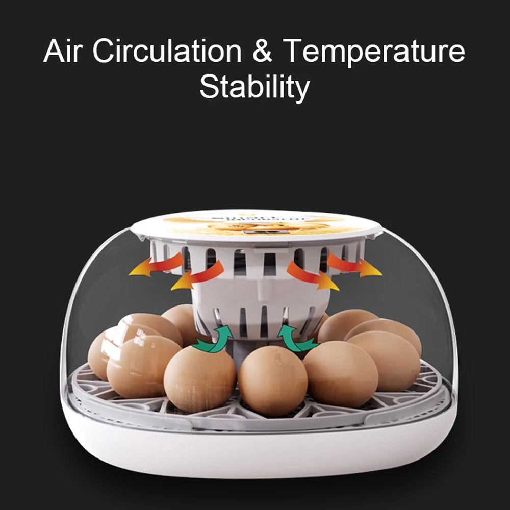 Egg Incubator for Hatching with Automatic Egg Turning Led Egg Test Lamp Clear Lid 12 Eggs Poultry Hatcher Farm Hatcher Tools