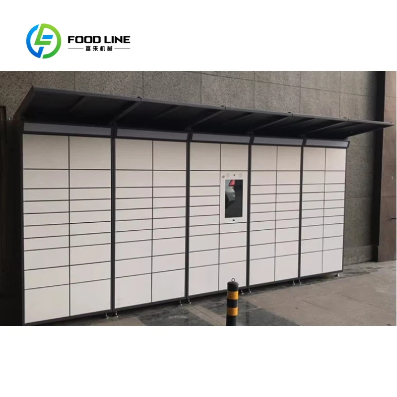 Customized Modular Fitness Lockers,Outdoor Waterproof Smart Locker For Luggage & Parcel, Smart Electronic Storage Cabinet