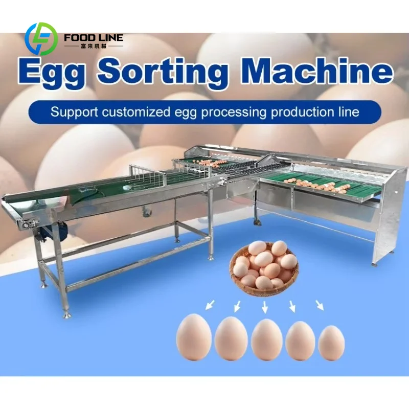 Customized High Precision Automatic Egg Weight Sorting Machine / Small Egg Grading Machine / Egg Sorter Grader Machine