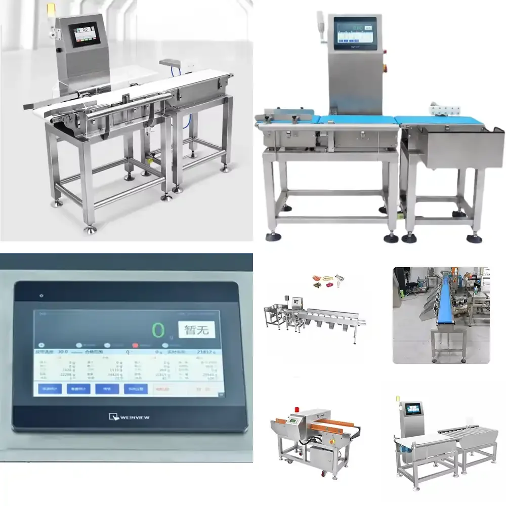 

Automatic Weighing and Sorting Machine for Packaging High Speed Industrial Scale Sorter with Conveyor Belt