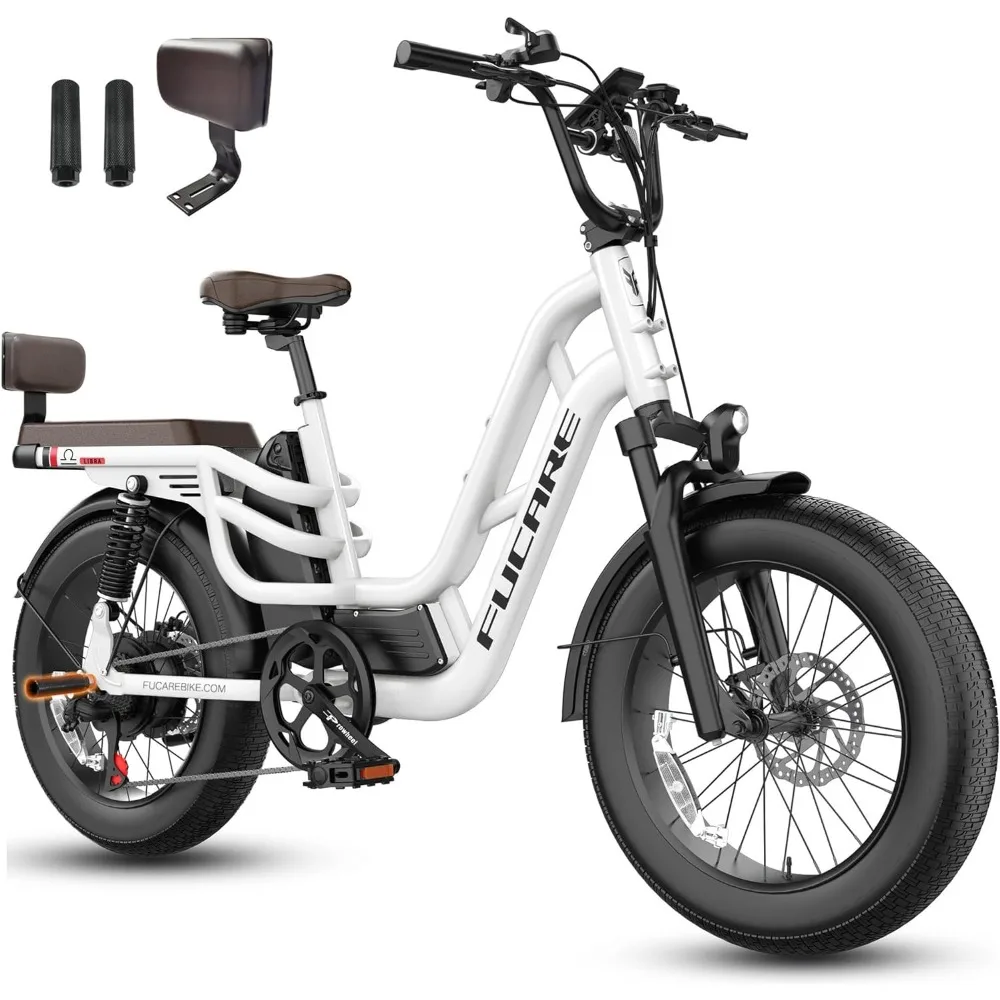 48V Bicycles 20"Ã—4.0" 750w 20Ah, Fat Adults Electric Tire