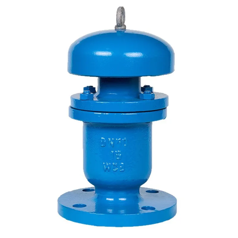 

Stainless steel KP single port flange exhaust valve DN50 water supply pipe